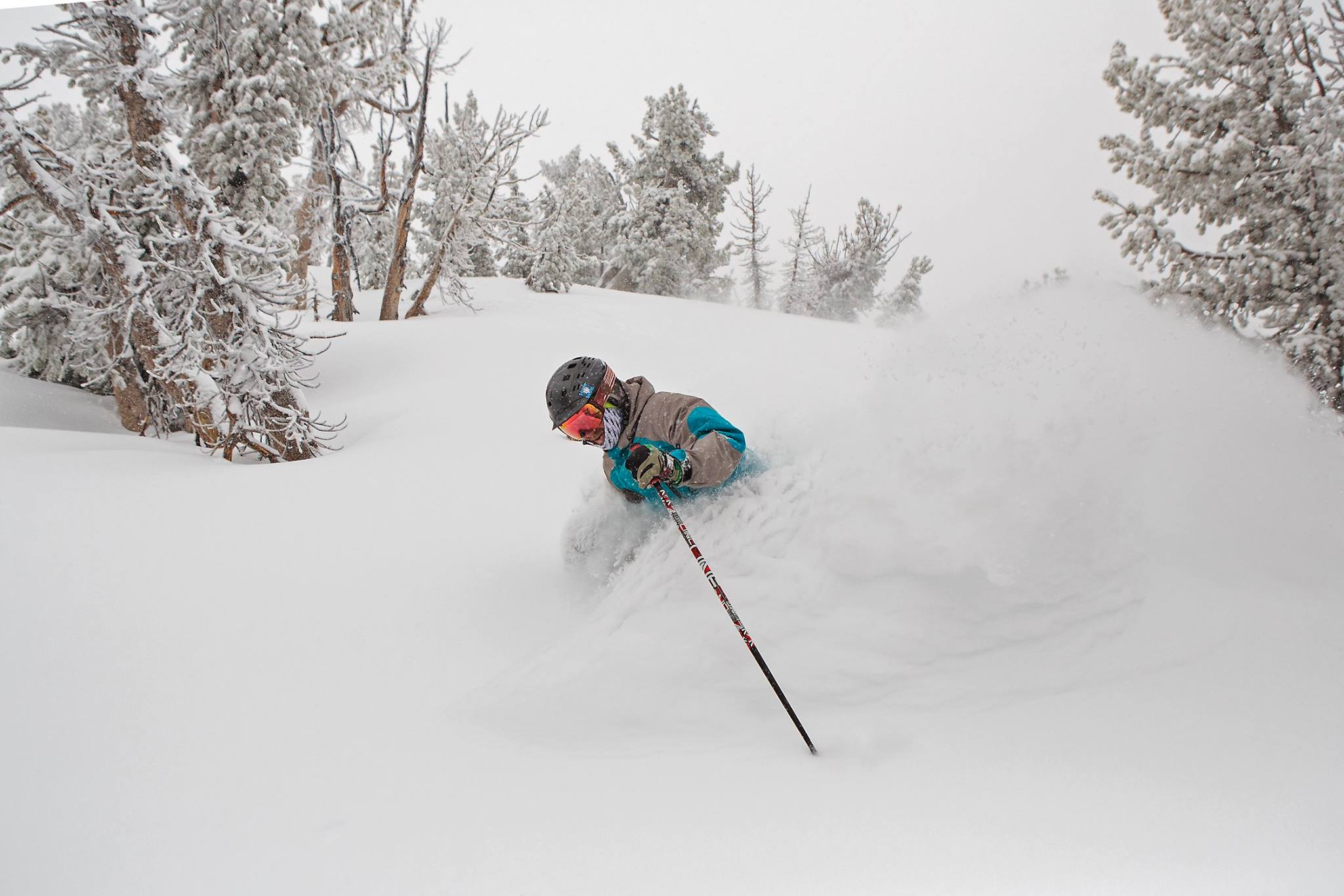 Heavenly today. photo: heavenly