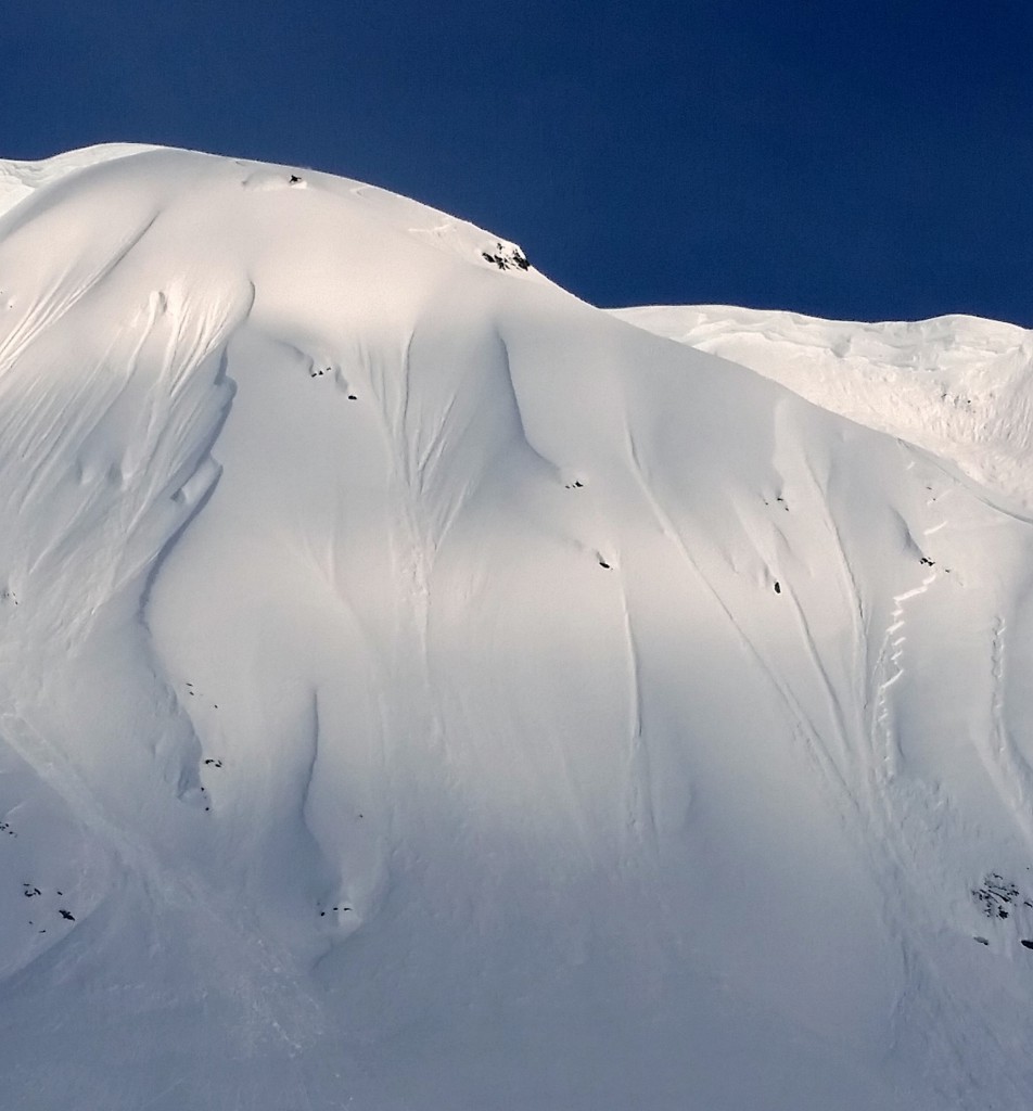 Avalanche off Turnagain Pass on Monday. photo: mike records