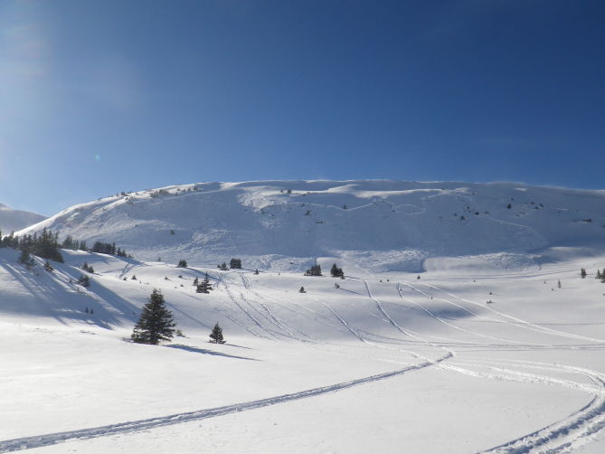 Image of the fatal avalanche yesterday. photo: caic