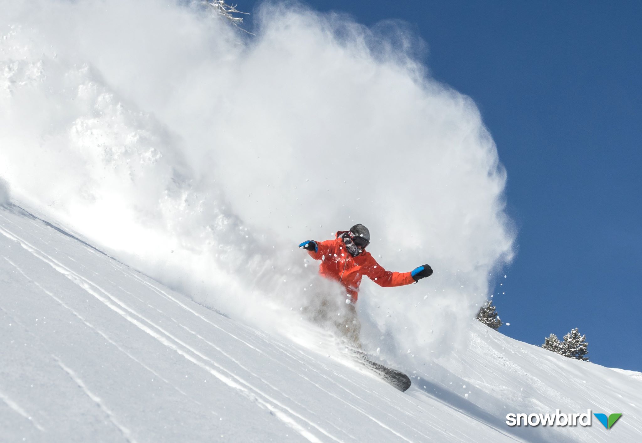 Snowbird, UT today. Matt Crawley