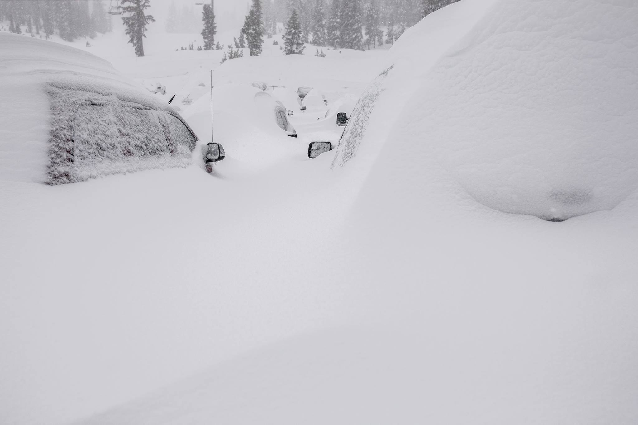 Mammoth today. photo: mammoth