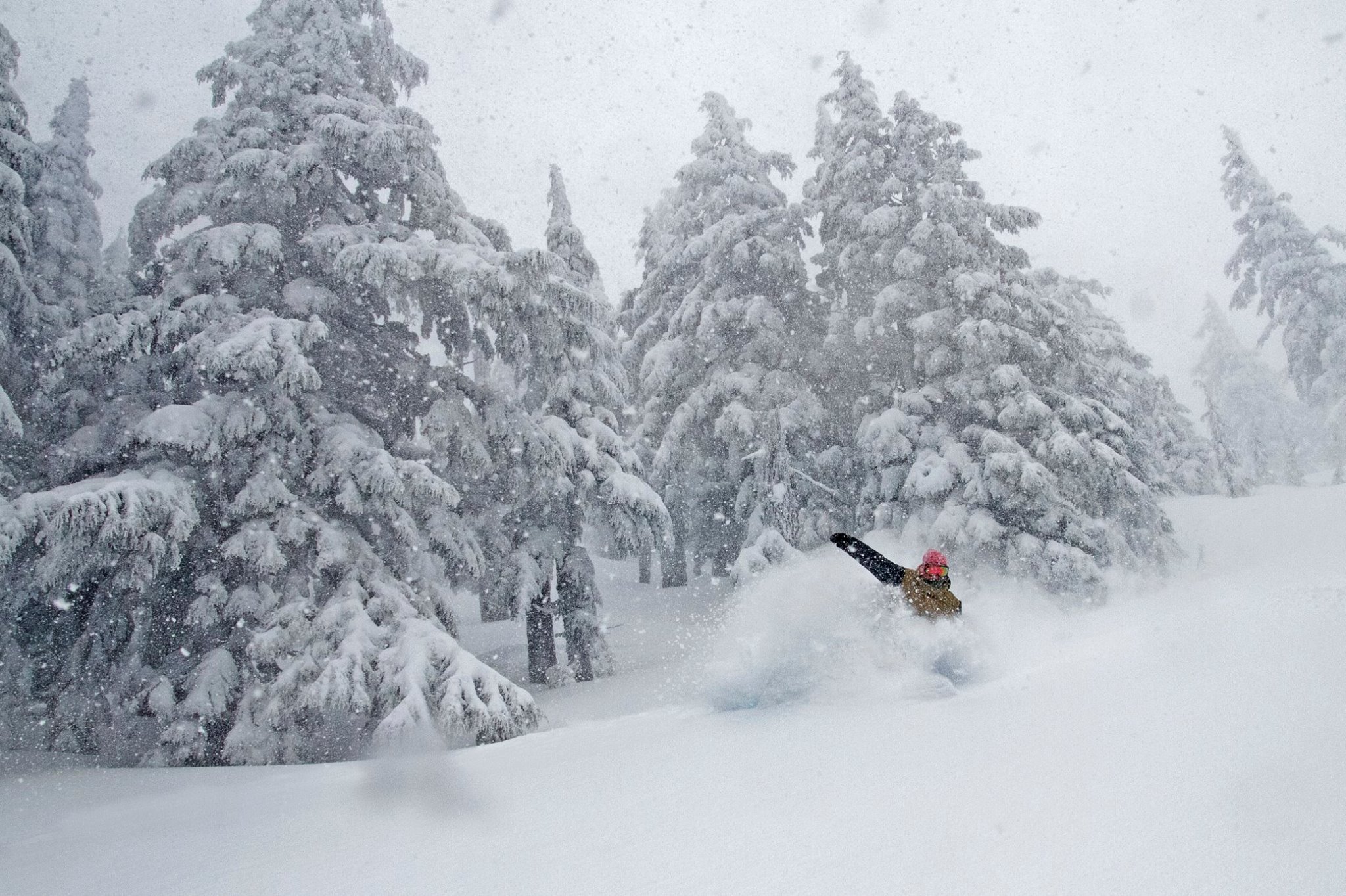 Mt. Bachelor, OR on March 15th. photo: tapper