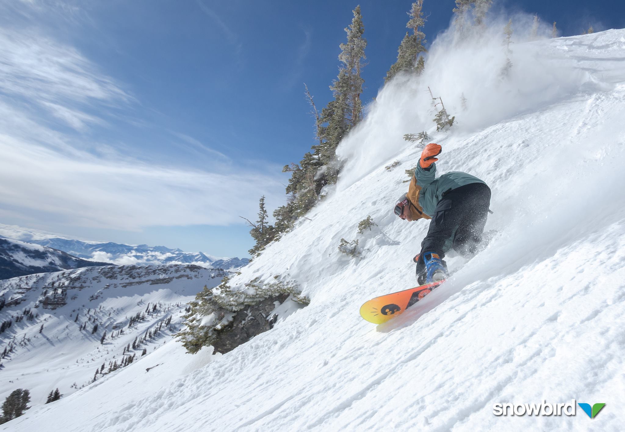 See the source image, snowbird