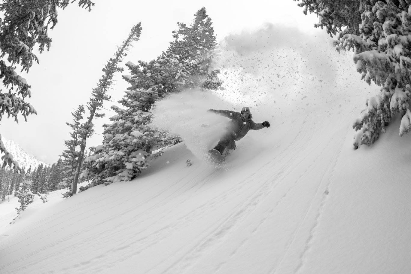 Snowbird, UT on March 30th, 2016. photo: Matt Crawley