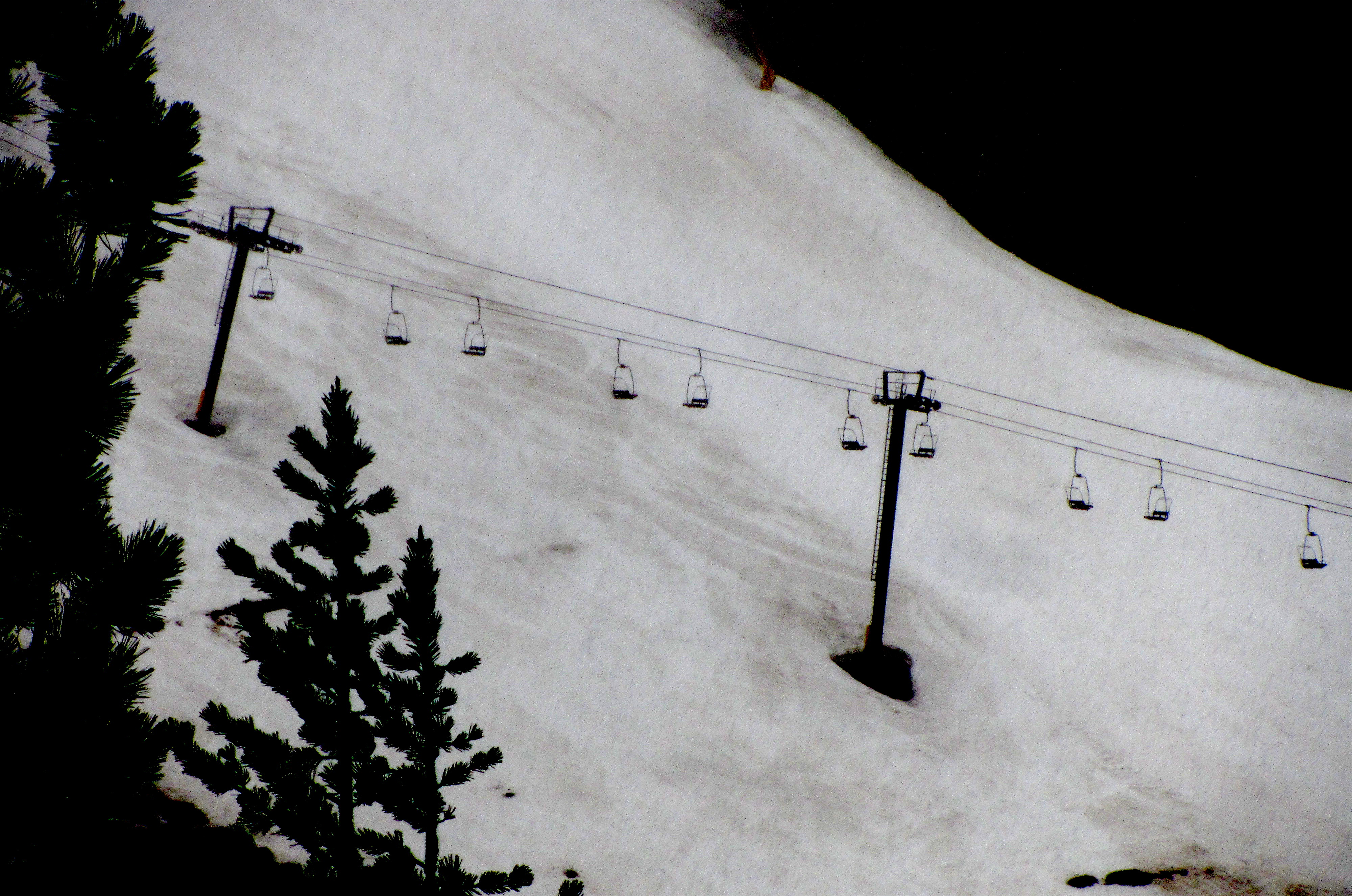 Red Dog at Squaw Valley, CA at 9:30am today. photo: miles/snowbrains