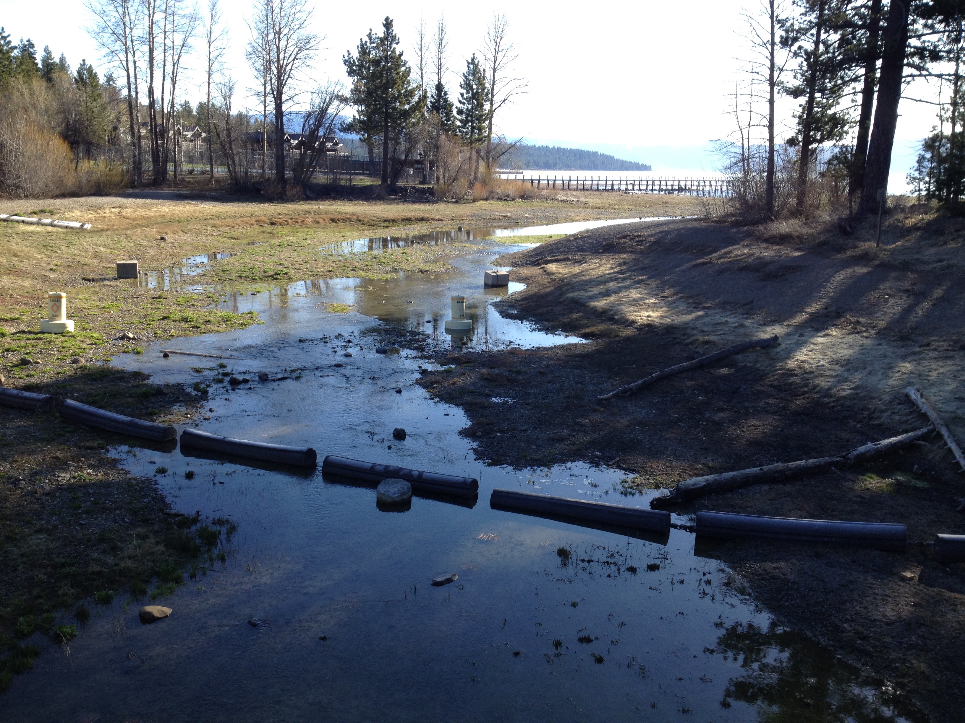The Truckee River is barely flowing. Tahoe is .12 feet above its rim. photo: snowbrains, yesterday
