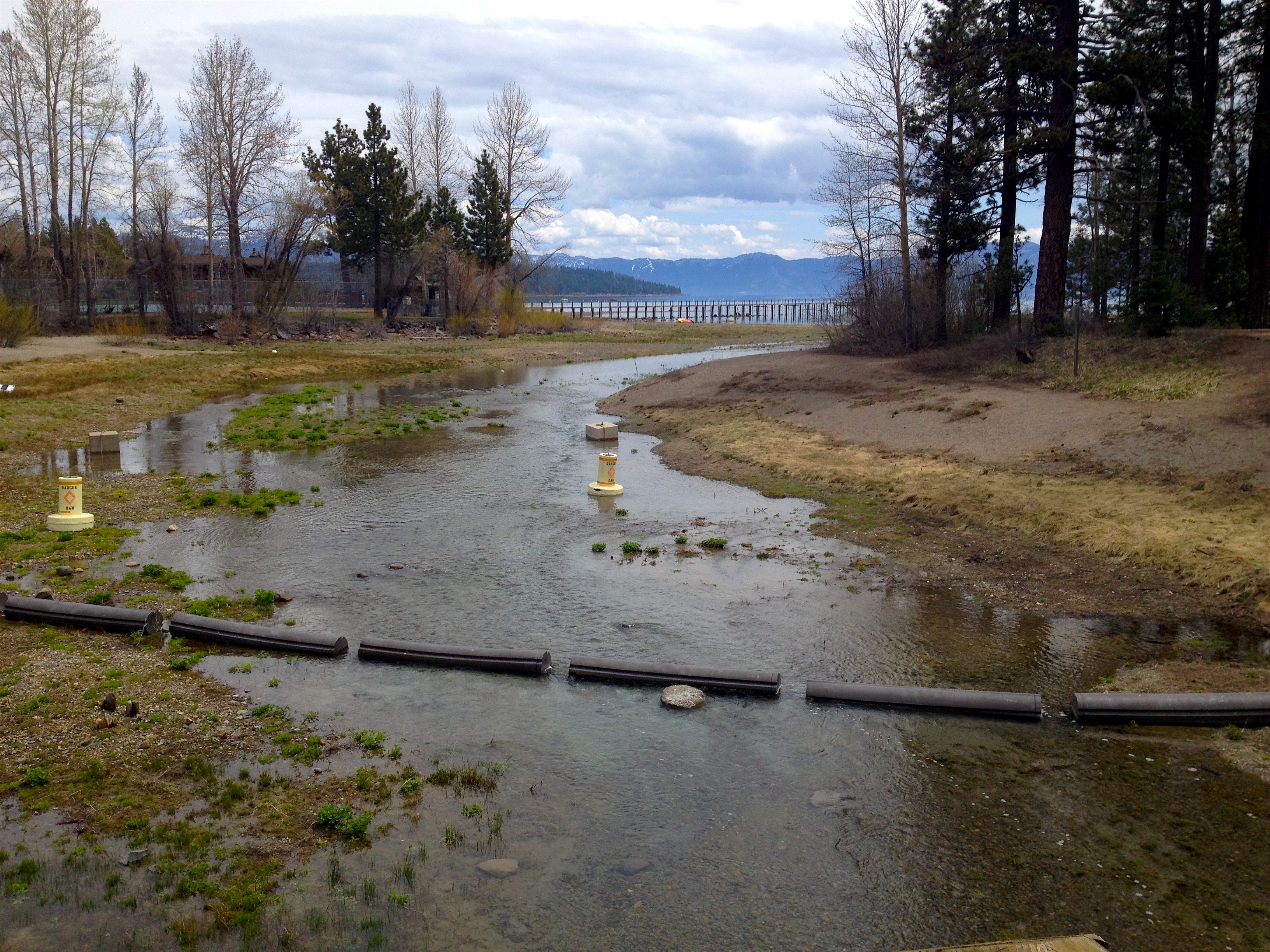 The Truckee River flowing from Lake Tahoe into the Truckee River yesterday at 19cfs yesterday afternoon. photo: snowbrains