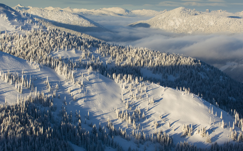 Grey's Peak, Red Mountain, B.C. photo: red mountain
