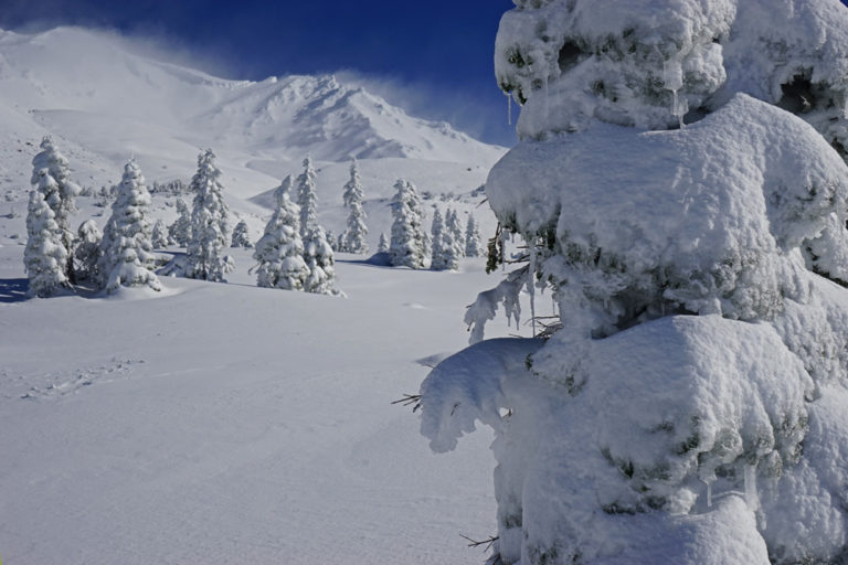Mt. Shasta Avalanche Gulch at 8,000′. on October 18th, 2016. photo: mt. shasta guides