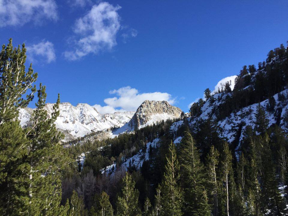 Mammoth yesterday, November 1st, 2016. photo: Matty Anderson