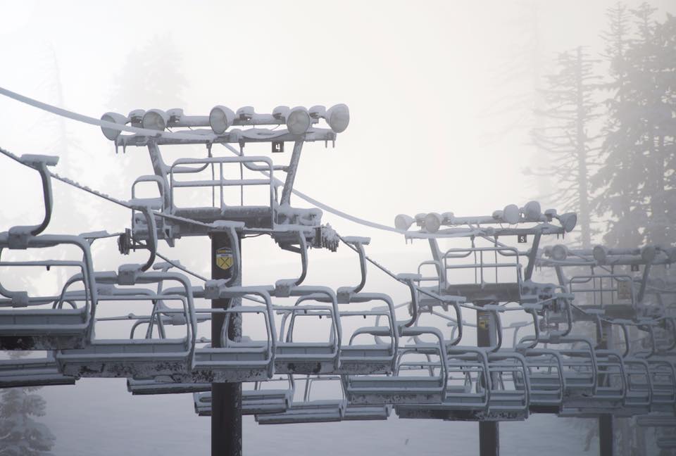 Boreal today. image: boreal