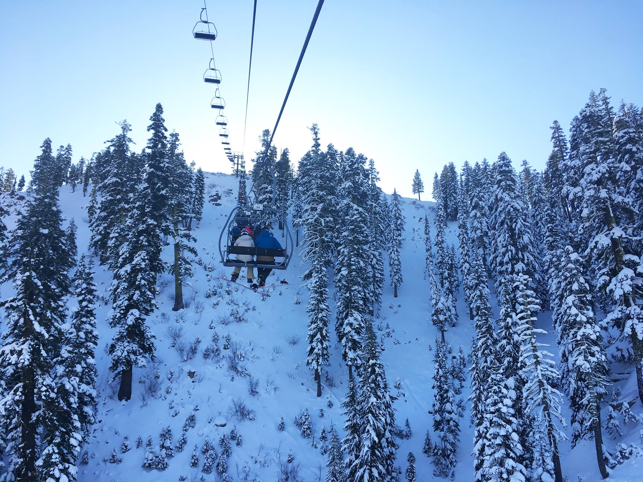 Red Dog at Squaw yesterday.  photo:  squaw valley alpine meadows
