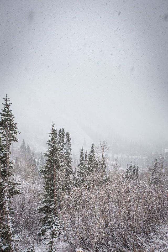 Snowbird, UT today. photo: snowbird