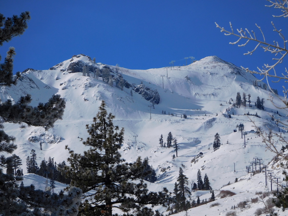 Headwall face today. photo: snowbrains