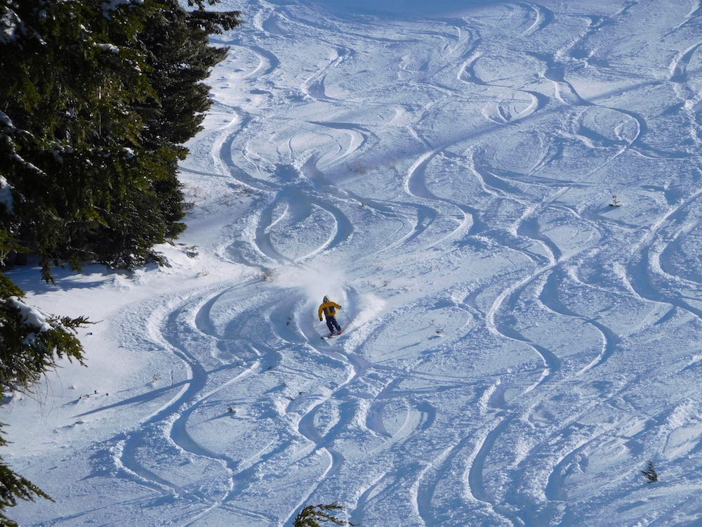The Andy Hays in powder in Rainbow Bowl today. photo: snowbrains