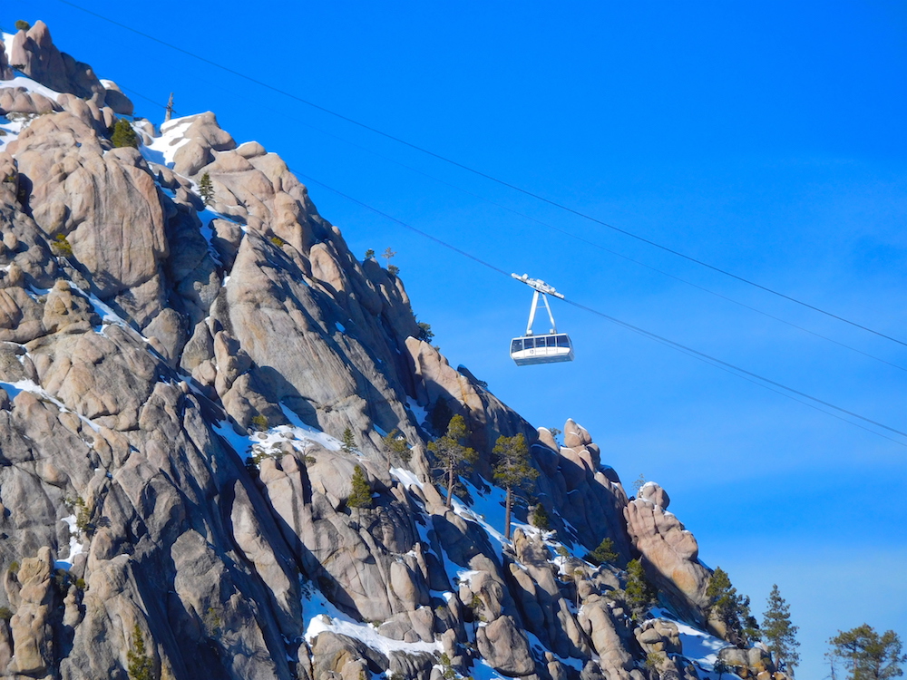 Tram today. photo: snowbrains