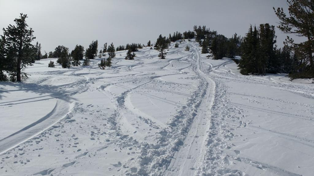 tamarack, mt rose, backcountry, rescue