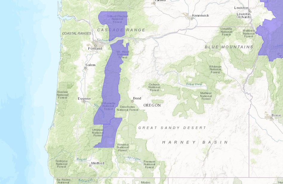 PURPLE = Winter Weather Advisory.  image:  noaa, today