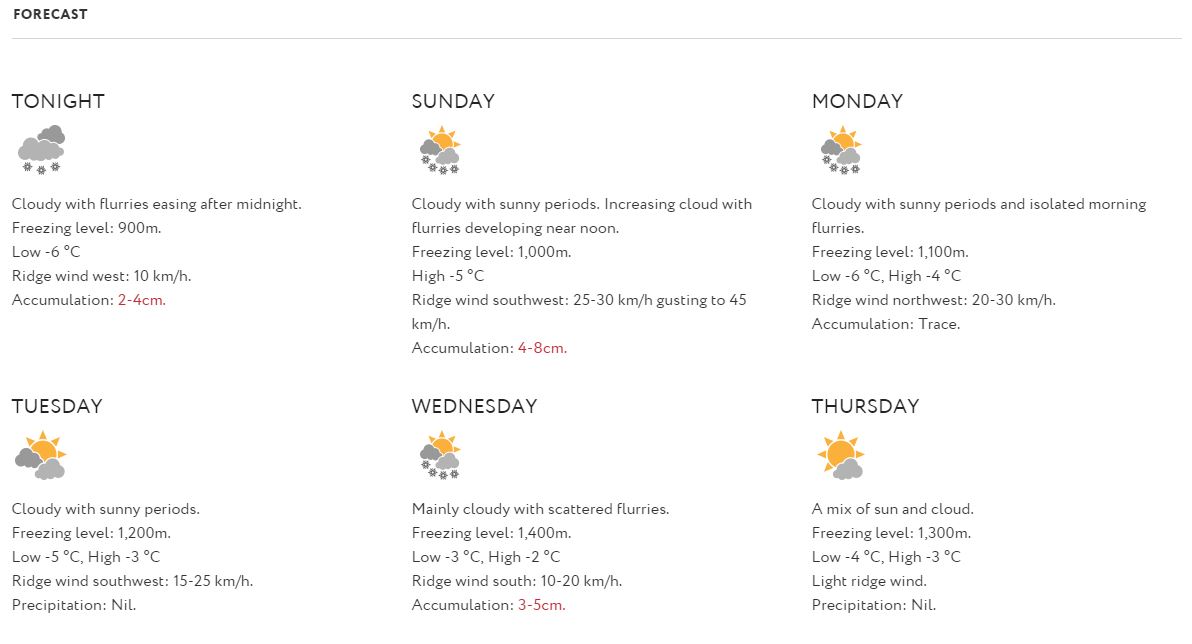 forecast