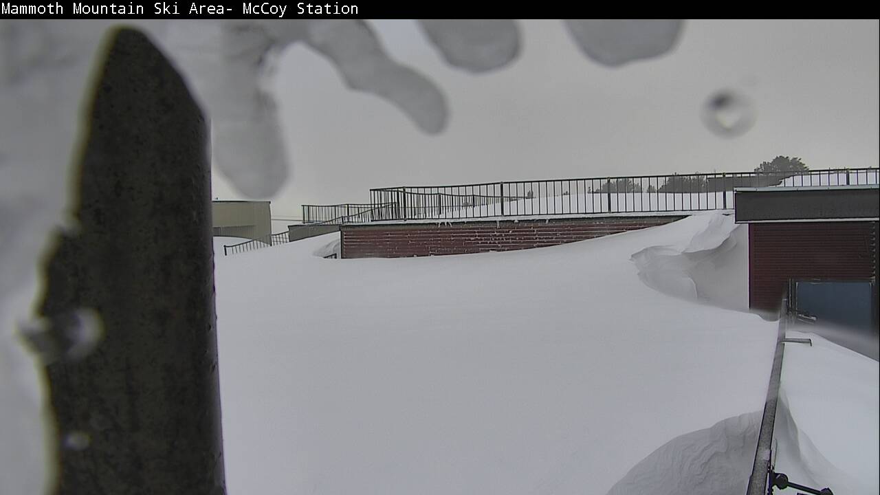 Mid Mountain, McCoy at Mammoth today.  