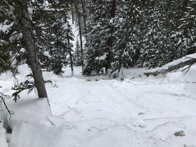 Photo of recent avalanche in CO.  image:  caic