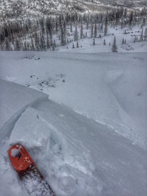 Photo of recent avalanche in CO.  image:  caic