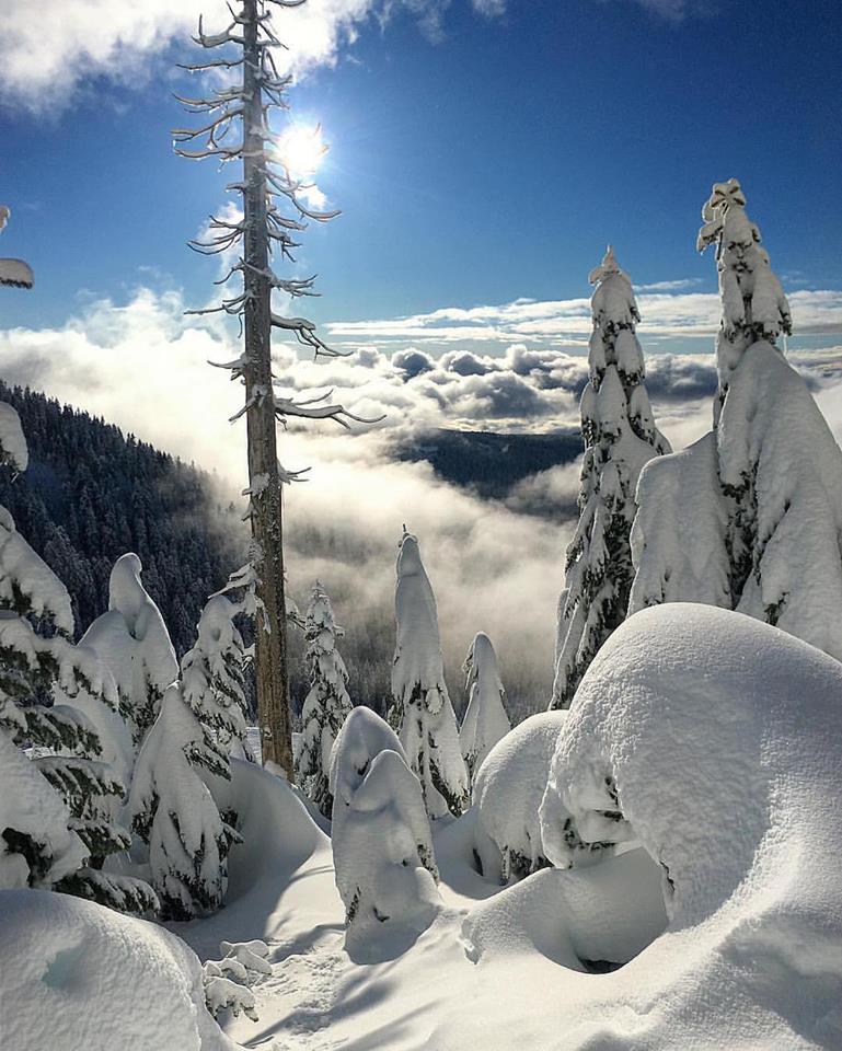 Cypress Mountain, B.C. on December 25th, 2016, the day the men went missing. photo: cypress mountain