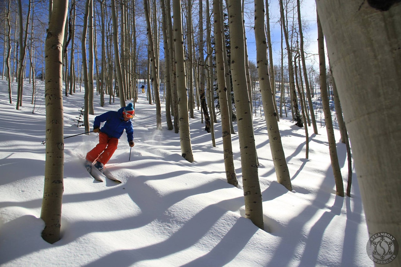 Those aspens look killer!