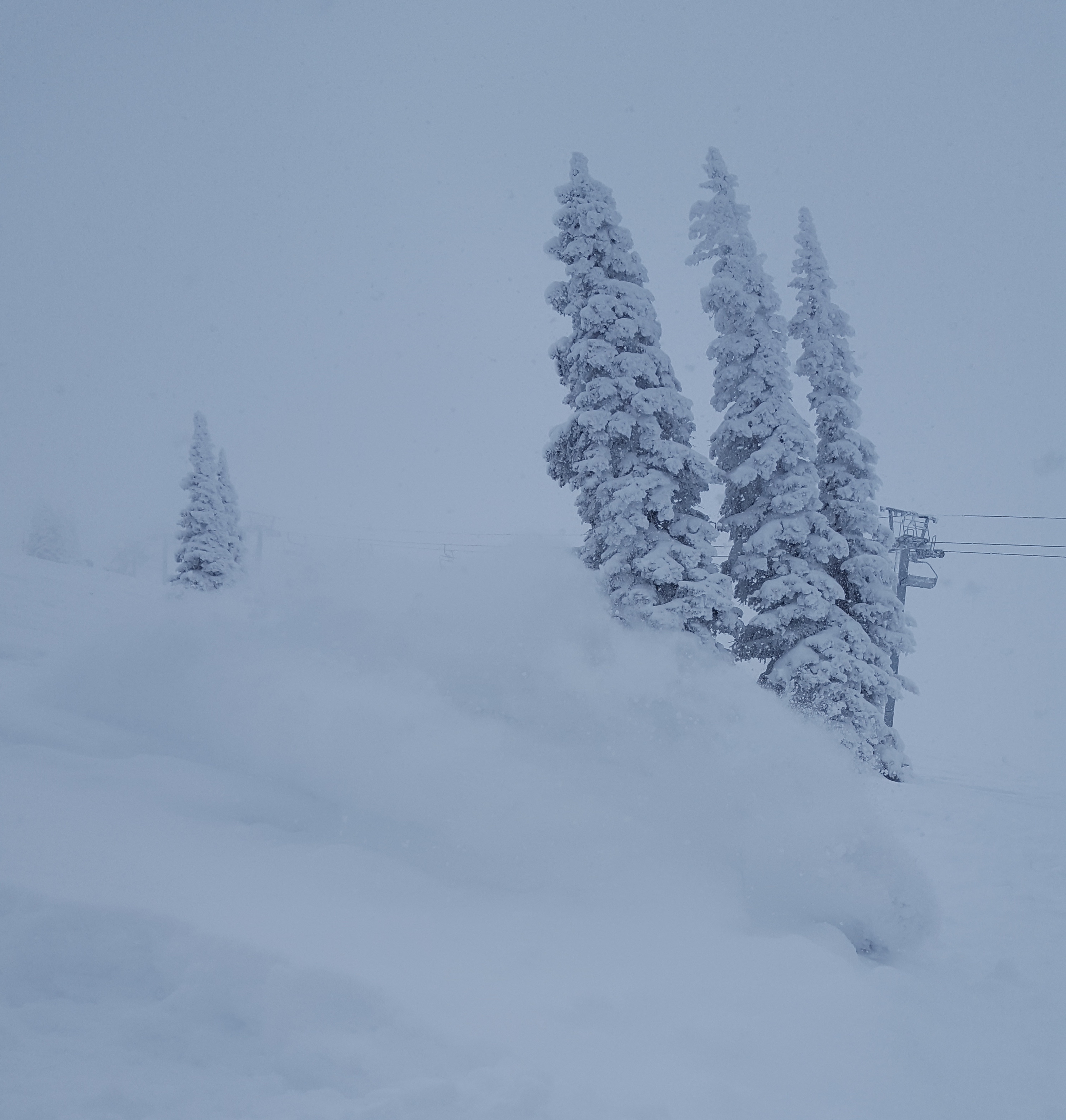DEEP at Grand Targhee today.  photo:  bryan gill