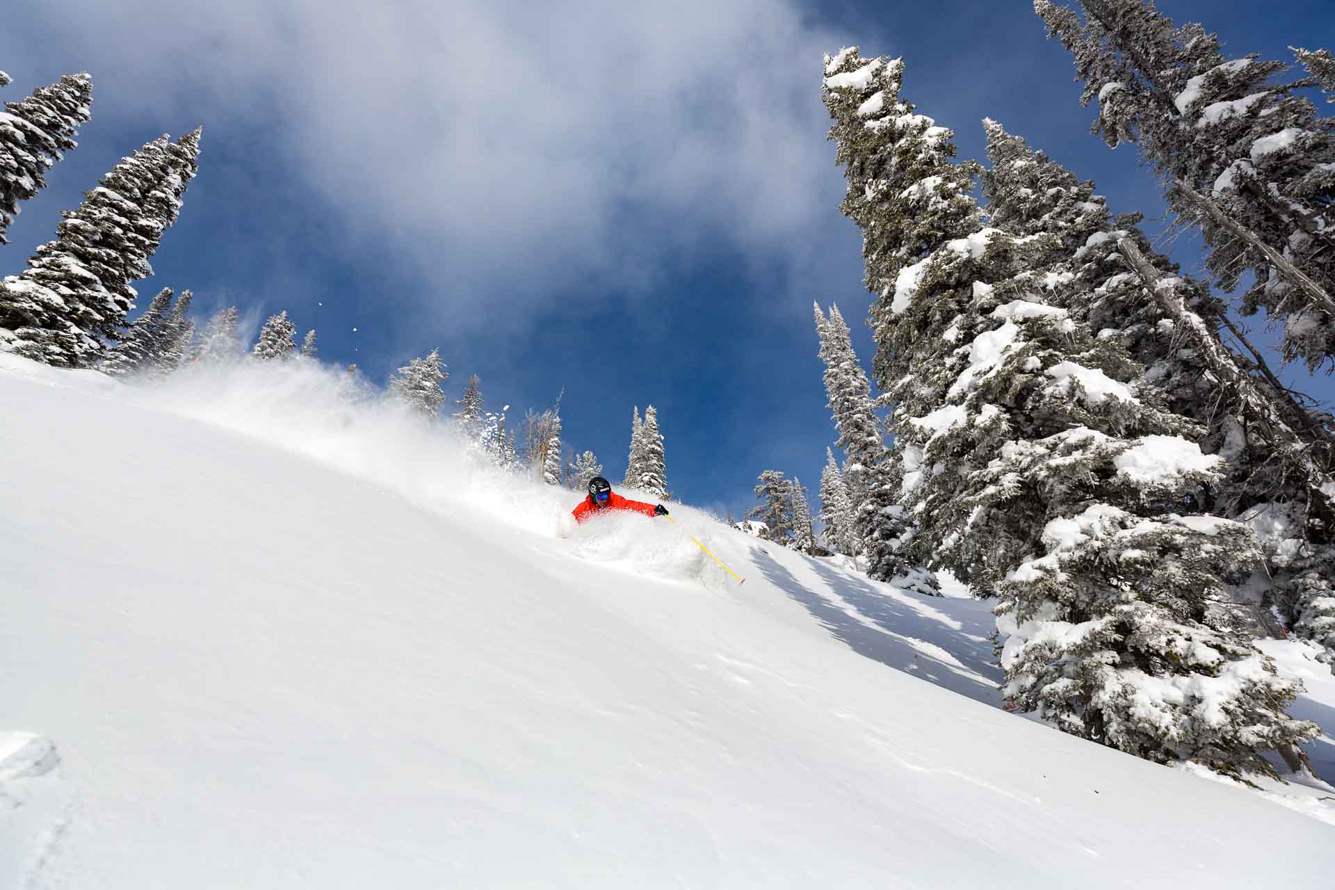Jackson Hole, WY yesterday. image: jackson hole