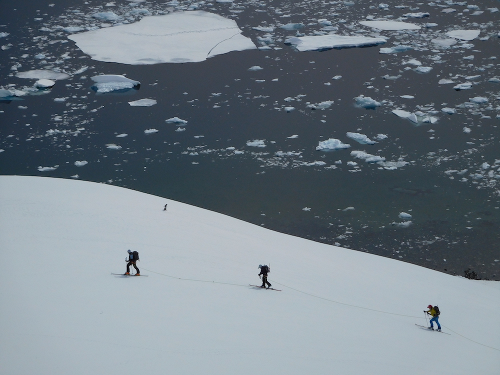 Lead guide Angela House being lead by a penguin on Ronge Island. image: miles clark