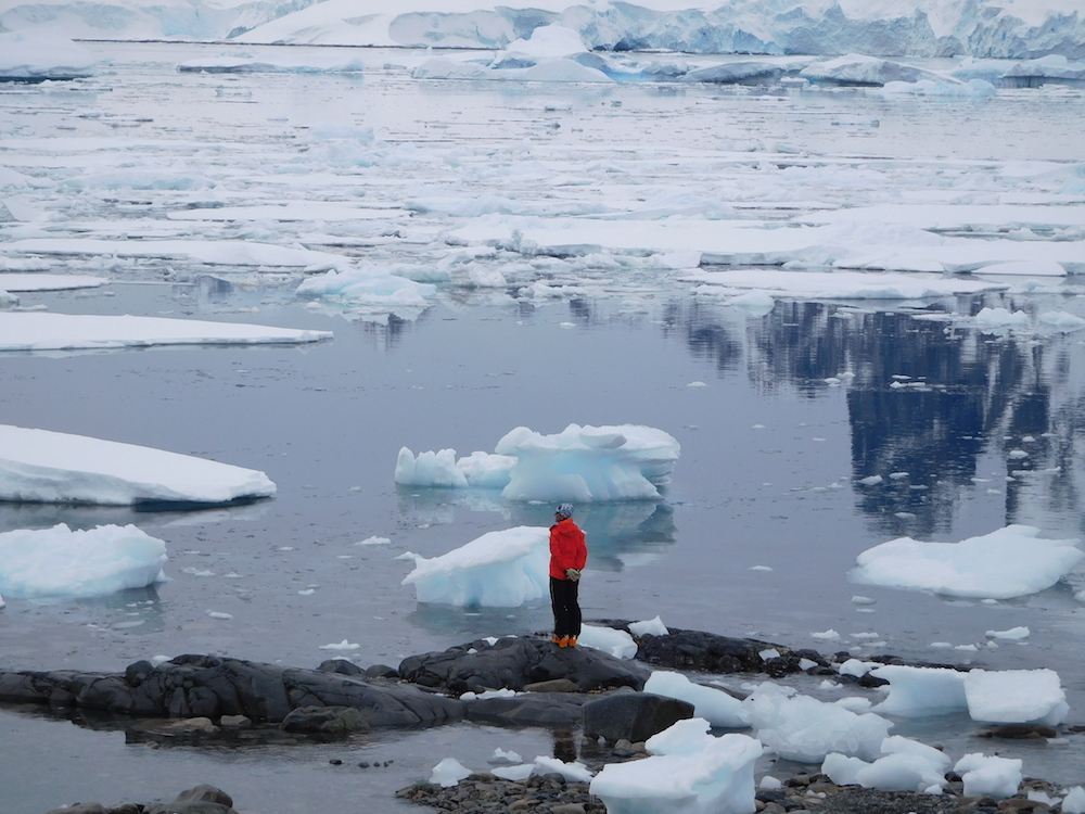 Lead Guide Angela Hawse waiting for pick up after sea ice blew in and closed down our landing site on Ronge Island. image: miles clark