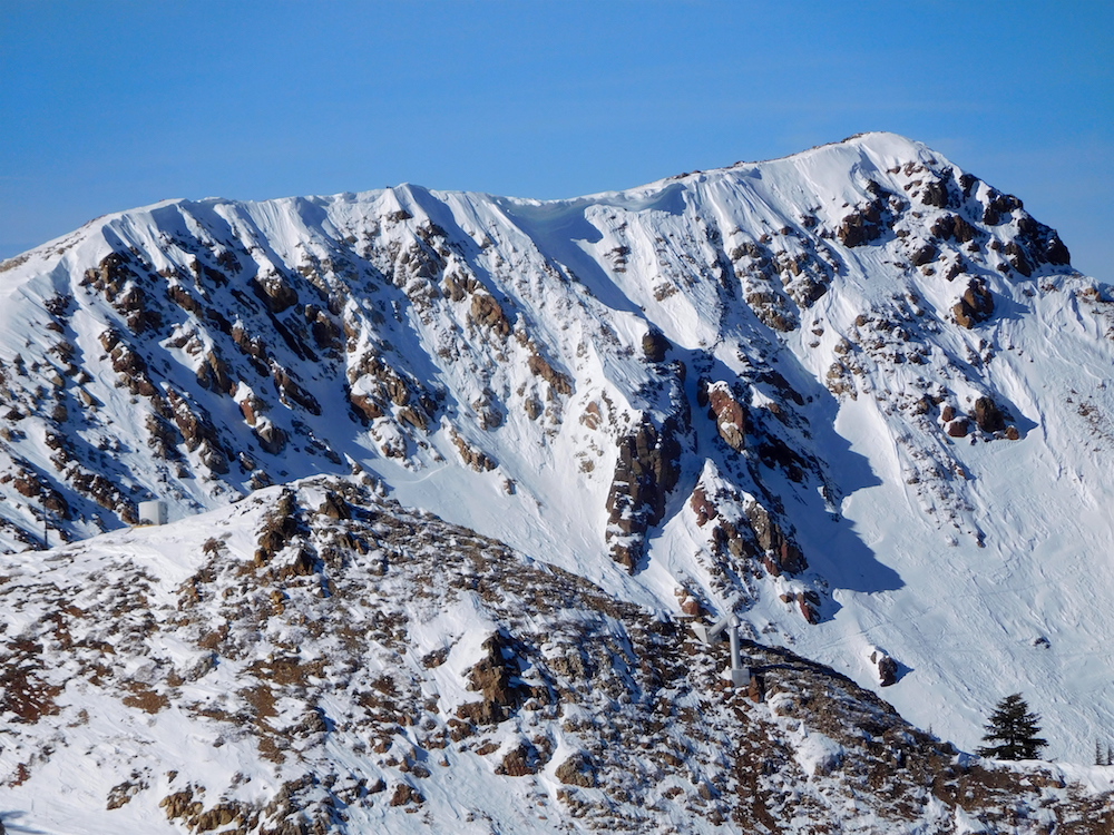 Wolverine Bowl at Alpine yesterday. image: snowbrains