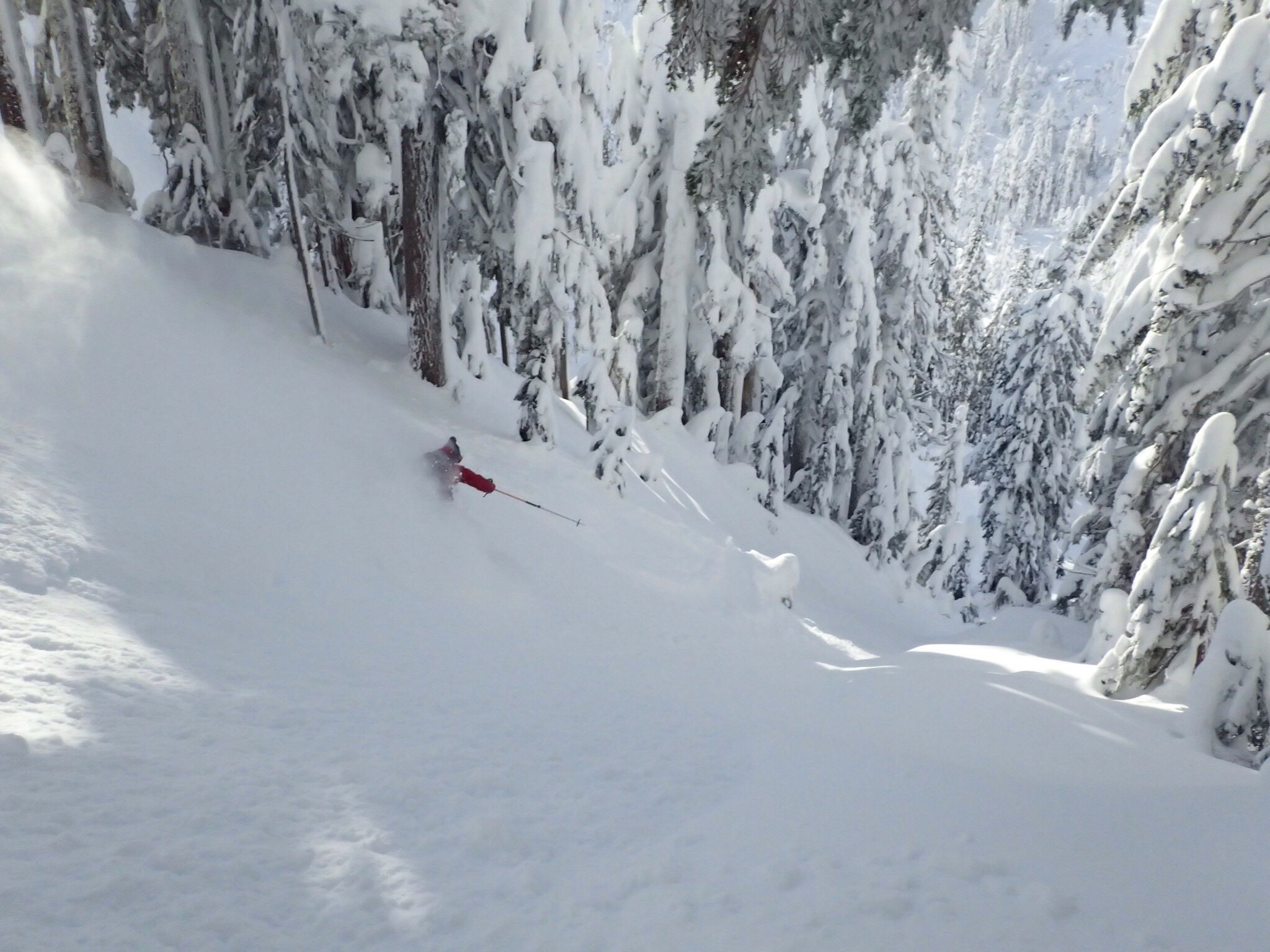 Mt. Baker ski area, WA yesterday. image: frankie/snowbrains