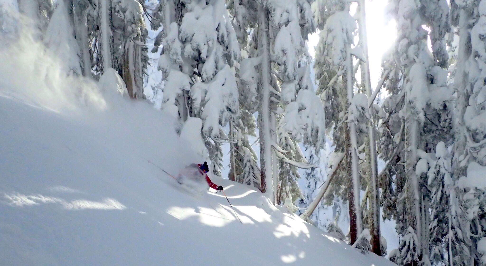 Mt. Baker ski area, WA yesterday.  image:  frankie/snowbrains