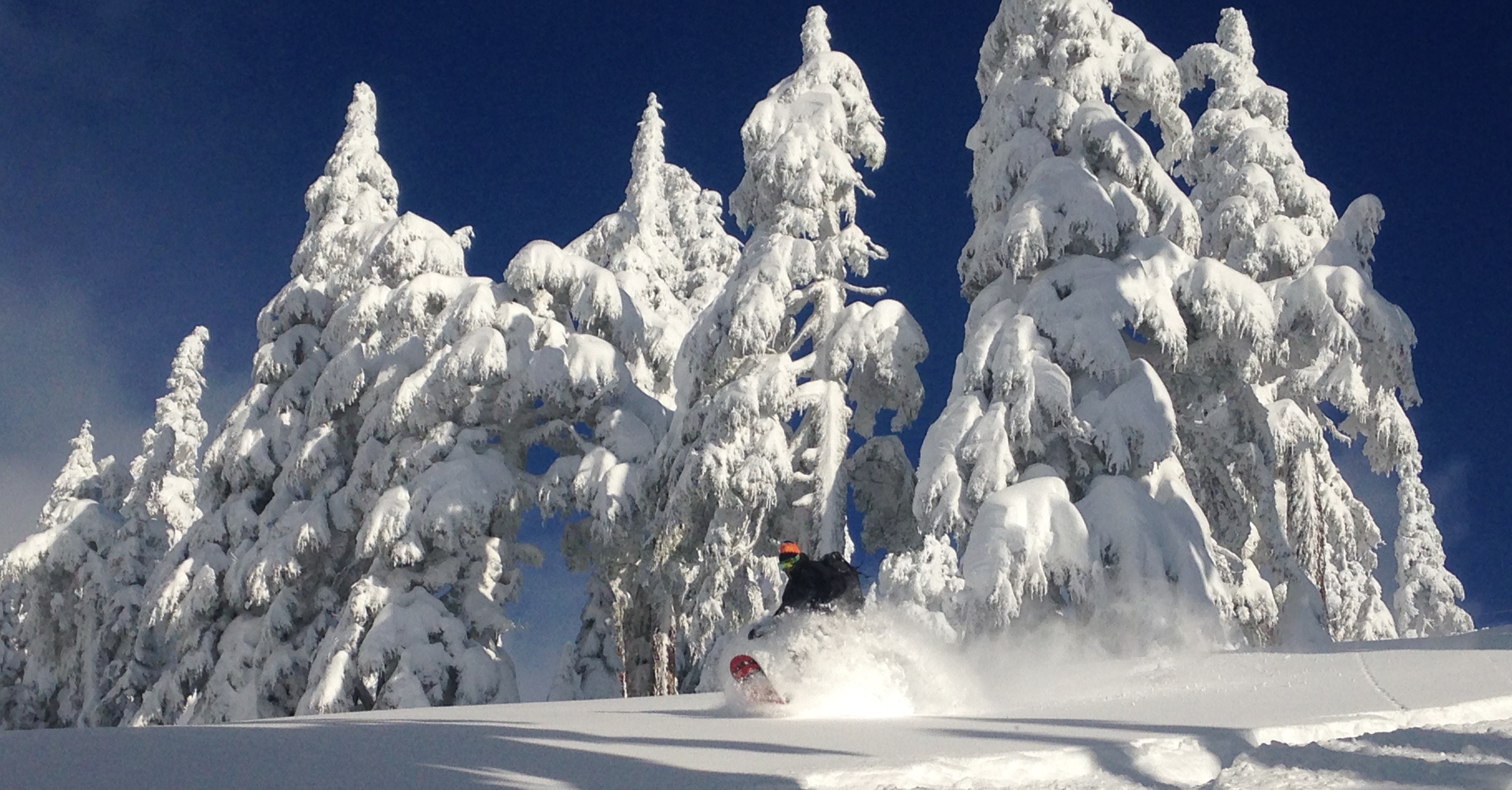 Mt. Baker ski area, WA yesterday. image: frankie/snowbrains