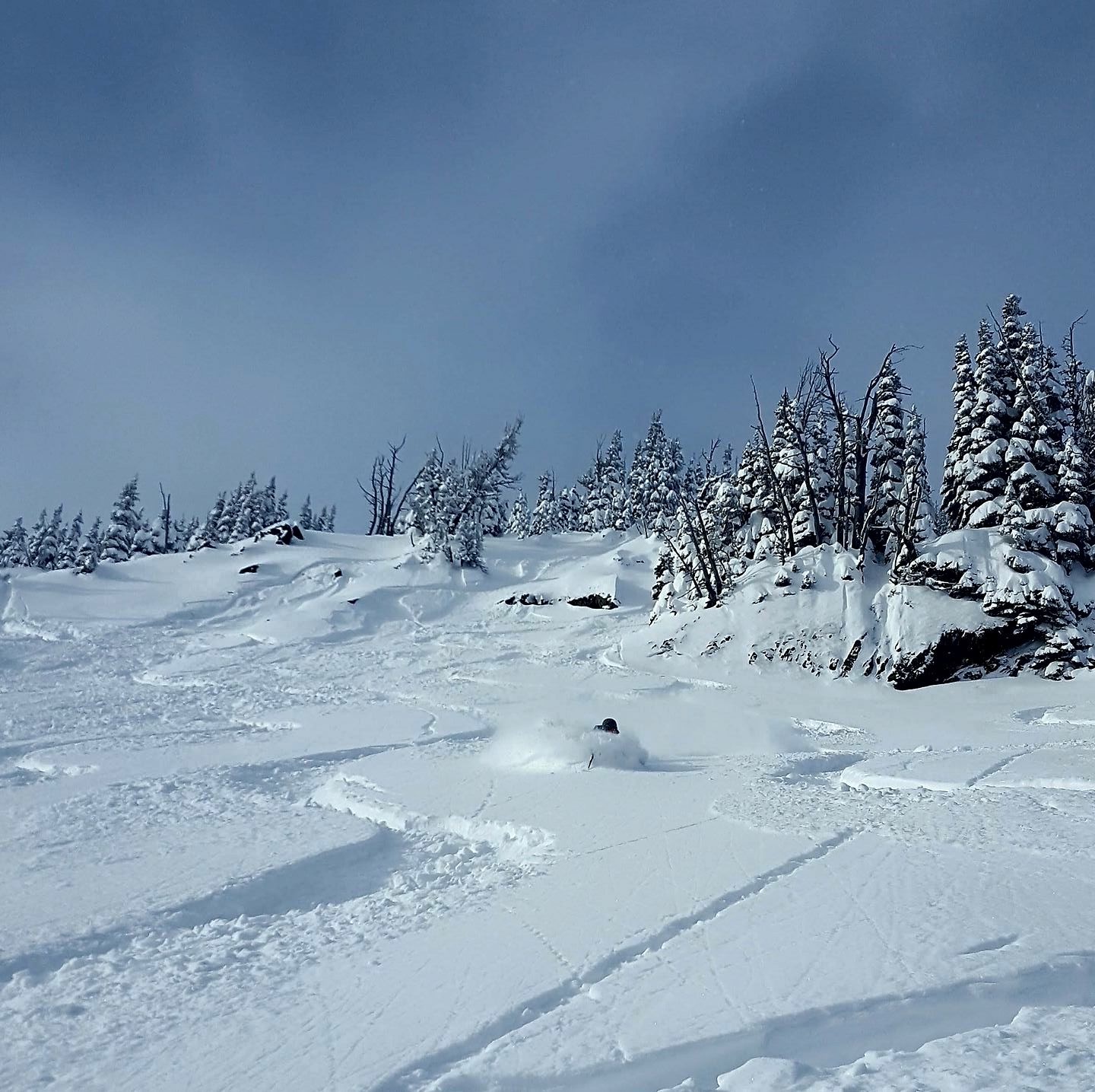 deep powder on the south side of Silver King @ Crystal Mountain