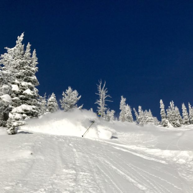 Reid Pitman ski skiing Crystal Mountain