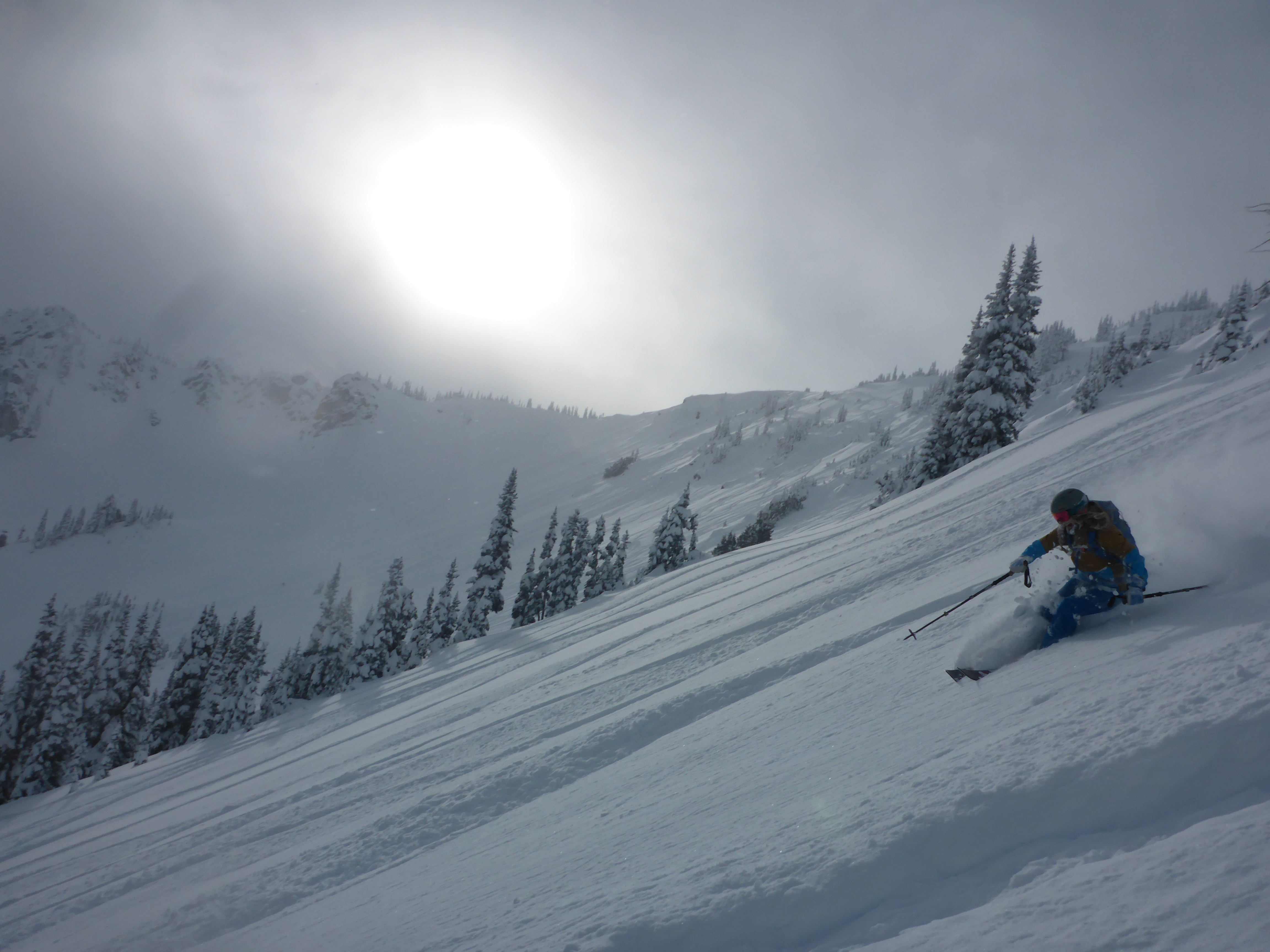 Knee deep powder