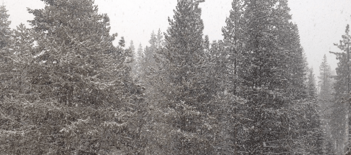 Dumping snow at my house in Squaw Valley, CA today at 10am.