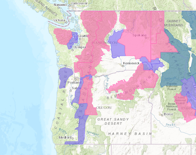 PINK = Winter Storm Warning. BLUE = Winter Storm Watch. PURPLE = Winter Weather Advisory. image: noaa, today
