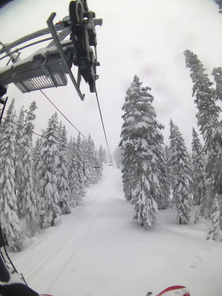 Timberline experienced a powder day yesterday and there's more on the way! PC: Timberline Lodge Facebook Page