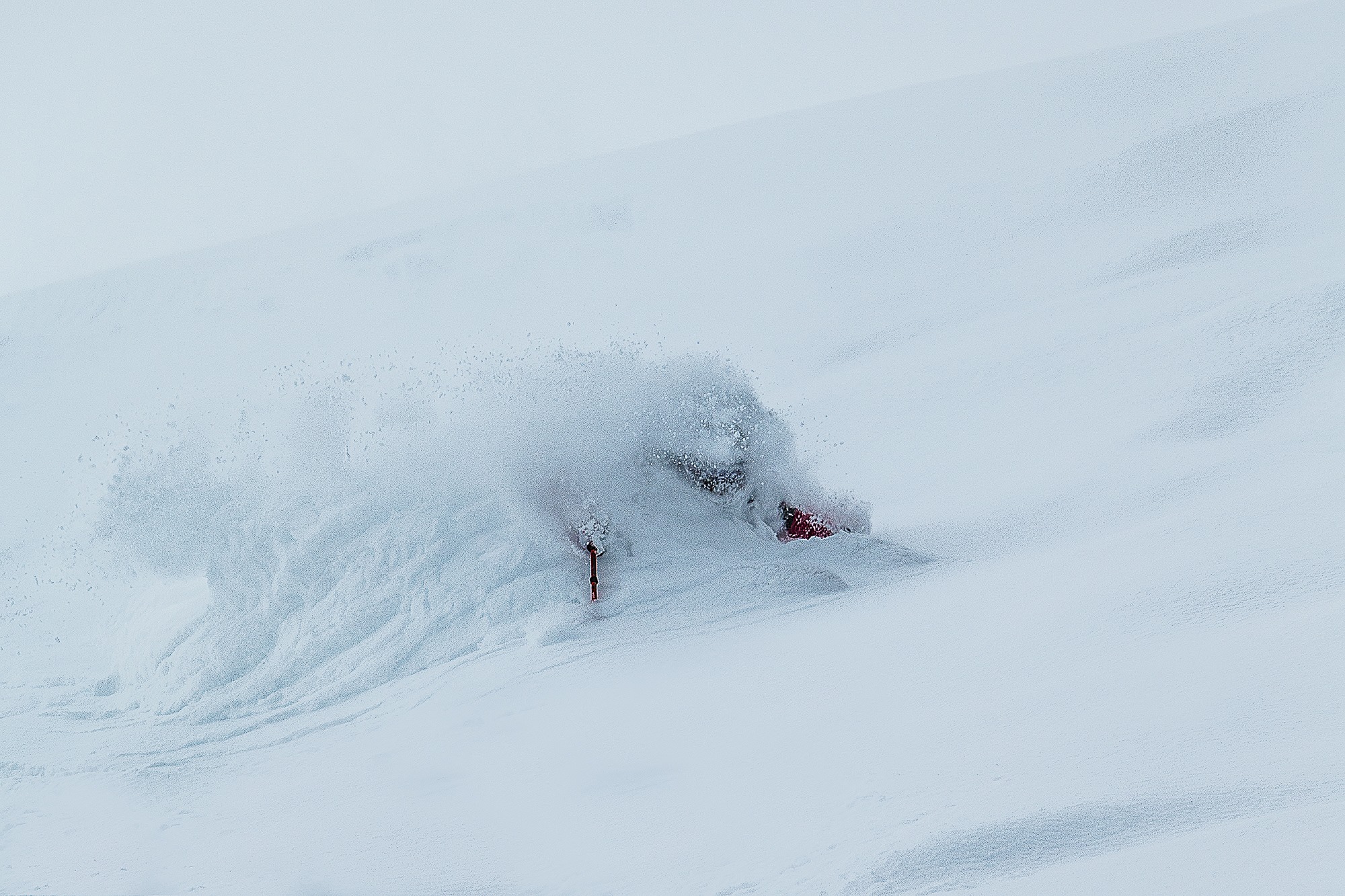WOW! PC: Paul Morrison 
