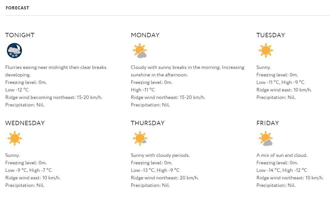 forecast