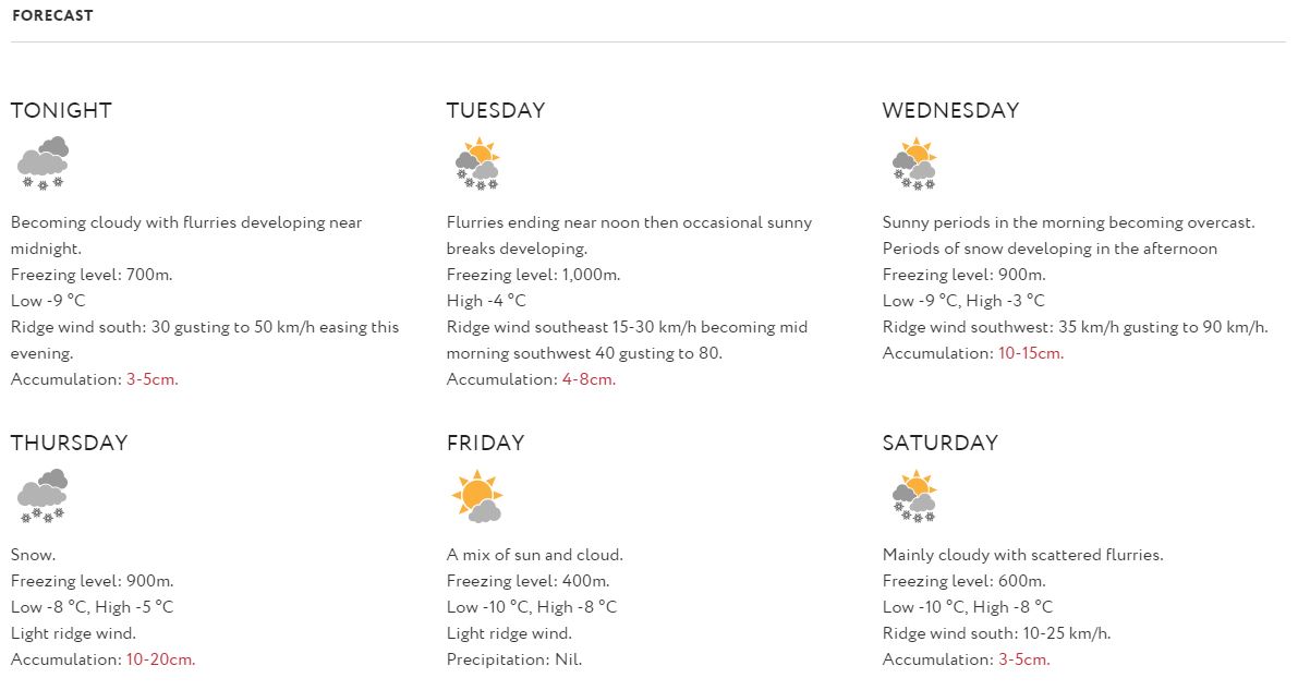 forecast