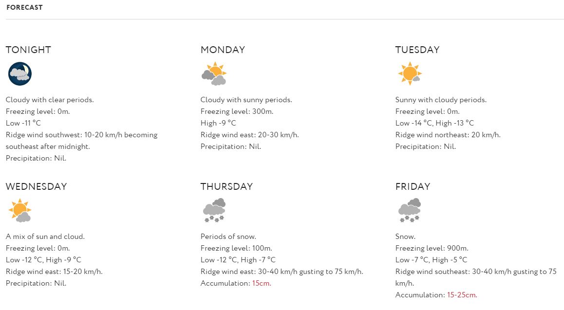 forecast