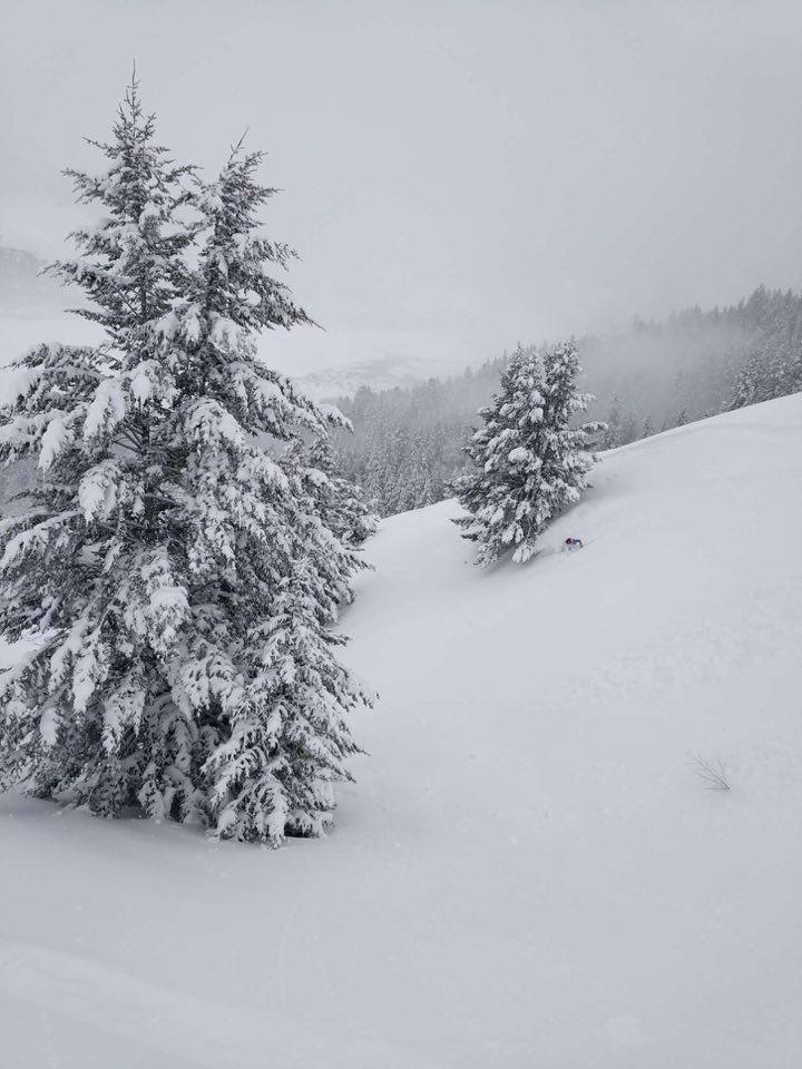 Miles in the open. photo: snowbrains