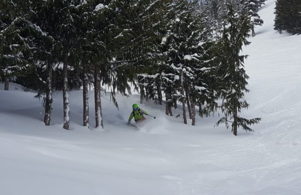 powder skiing crystal mountain