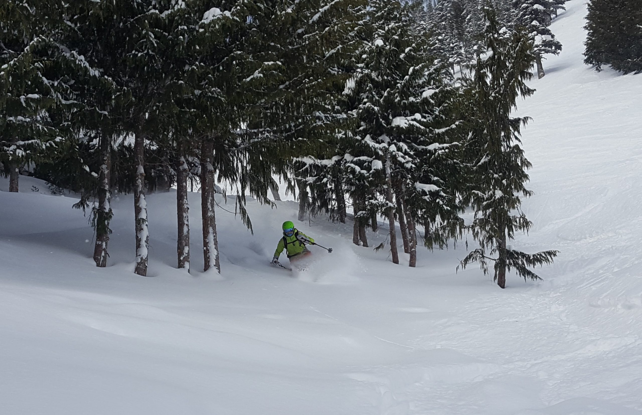 powder skiing crystal mountain