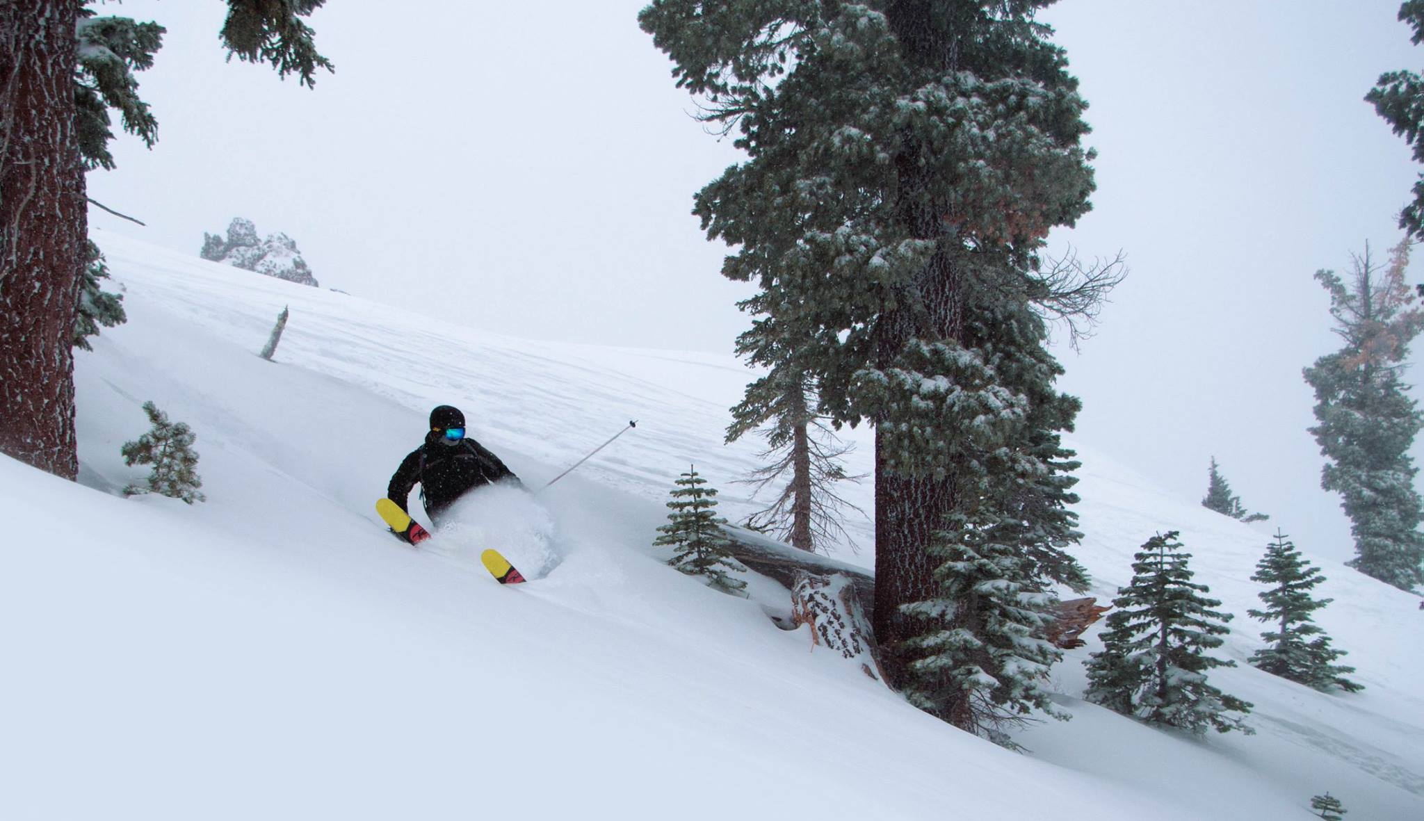 Sugar Bowl Powder Turns. Image: Sugar Bowl Facebook Page
